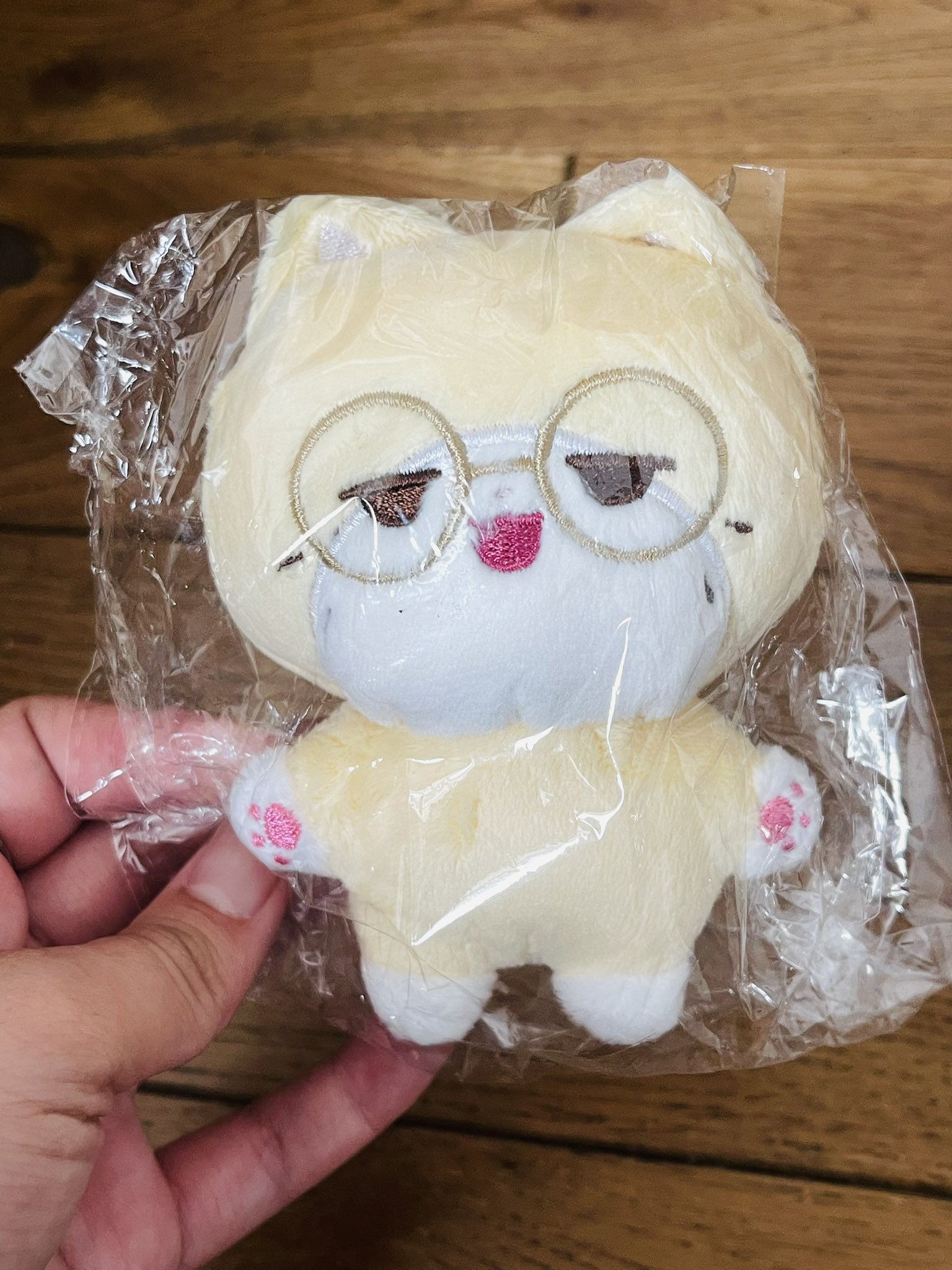 MINTEEN ぬいぐるみとフォトカードホルダー　ジョシュア　ＳＥＶＥＮＴＥＥＮ 新品未開封】公式 seventeen SVT セブンティーン セブチ