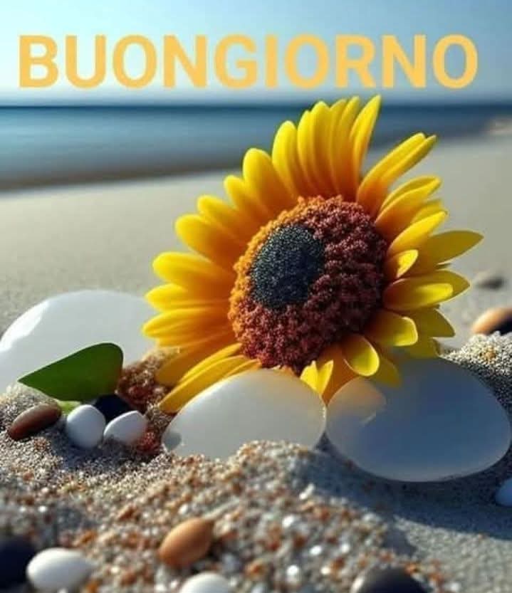 Giadaa2016's tweet image. Ci son cose di noi
che gli altri non capiranno mai.
E va bene così.
Buon sabato a voi 💋