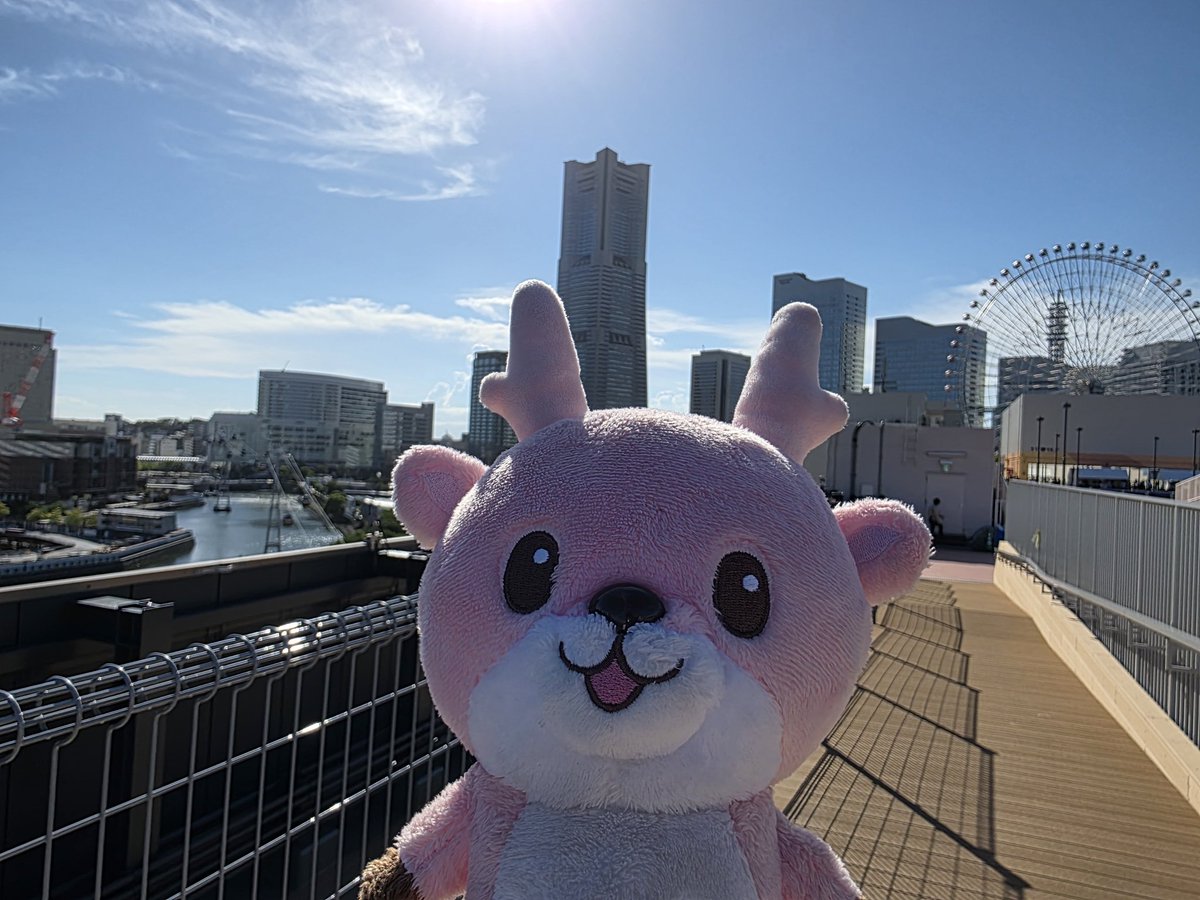 IWASHIKA0410's tweet image. 横浜最高！