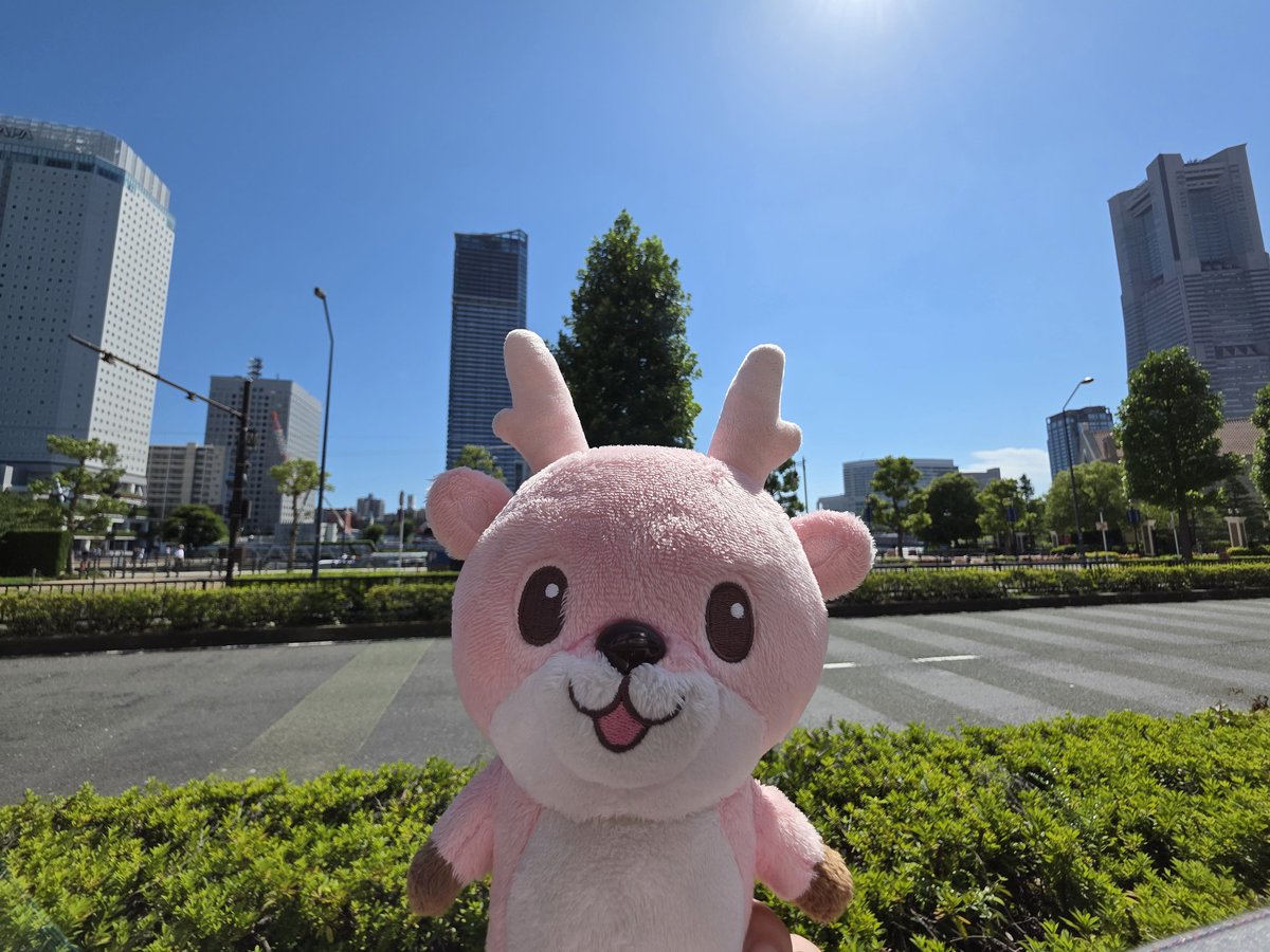 IWASHIKA0410's tweet image. 横浜最高！
