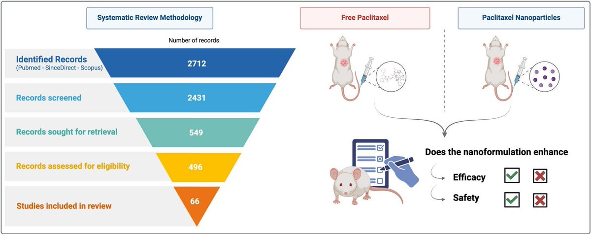 JCRnEDITORS's tweet image. Advances in paclitaxel nanoformulations: A systematic review of in vivo therapeutic efficacy and safety enhancements.
| Erazuliana Abd Kadir, Universiti Sains Malaysia |  @CRSMalaysia
[50 days&apos; free access]
#nanoformulation #paclitaxel 
kwnsfk27.r.eu-west-1.awstrack.me/L0/https:%2F%2…