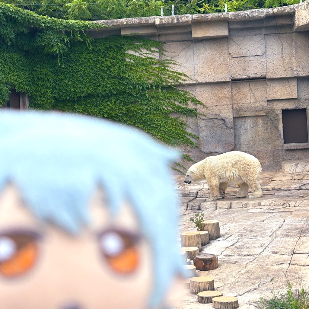 0_i_'s tweet image. 