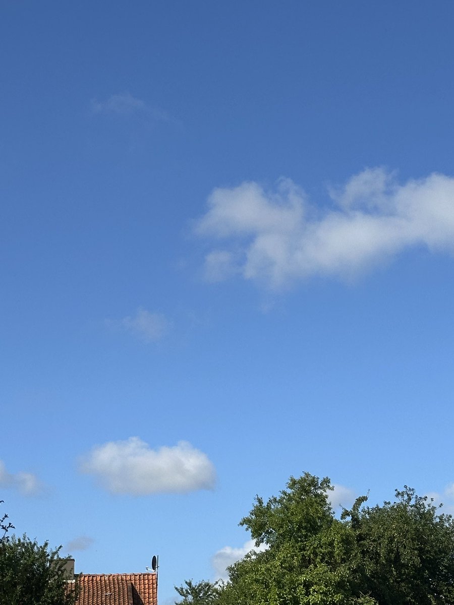 hedyundolaf's tweet image. Pohle meldet 18° 🌤️
Wochenende und Sonnenschein 🫶 was gibt es Schöneres 😉🤣🤣