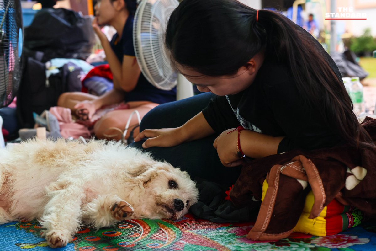 IrrawaddyNews's tweet image. The Thai government has announced it will provide 1 million baht in compensation to the families of people killed in clashes along the Cambodian border.
Photo: A camp in Ubon Ratchathani. / The Standard