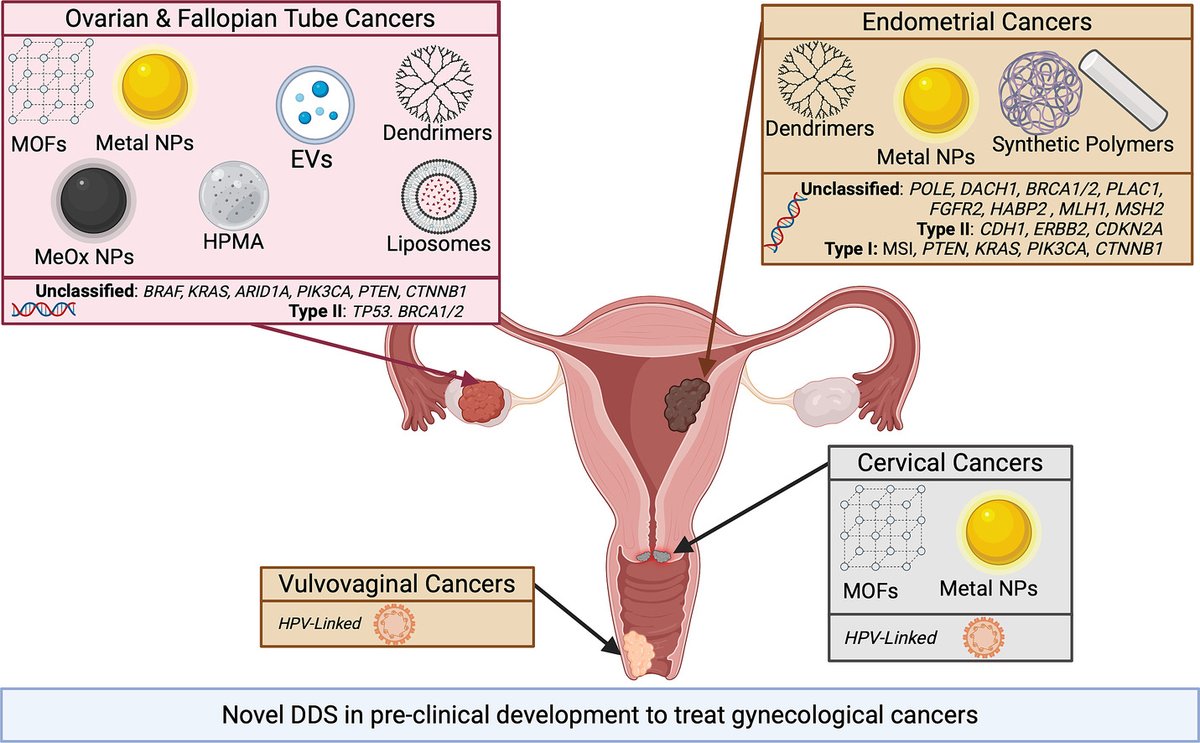 JCRnEDITORS's tweet image. Nanocarrier drug delivery systems for gynecological cancer therapeutics.
| Brittany E. Givens @ukyengineering |
[50 days&apos; free access]
#MetalNanoparticle #ExtracellularVesicle 
kwnsfk27.r.eu-west-1.awstrack.me/L0/https:%2F%2…