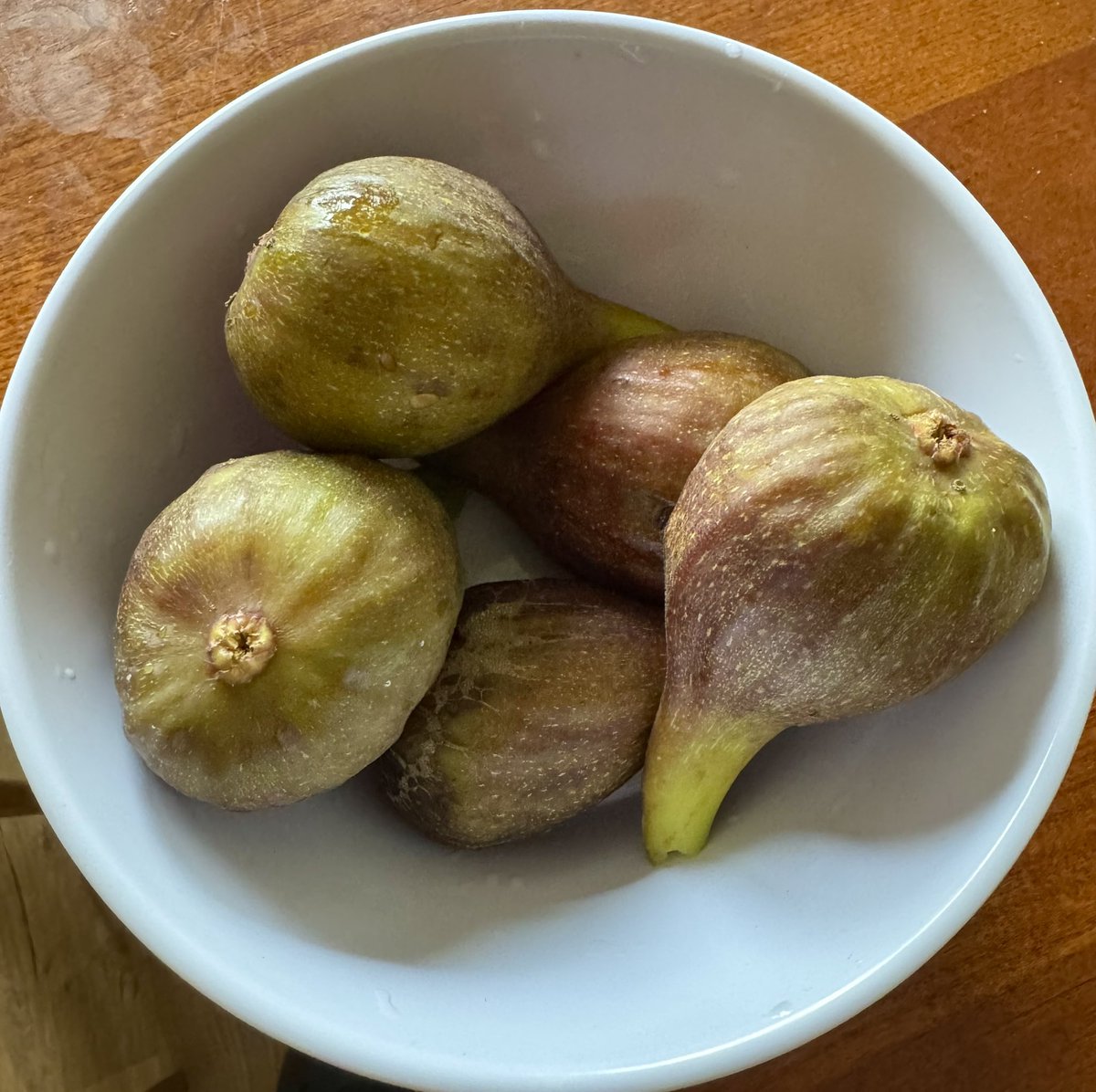 The figs are early this year. Must be all that ☀️