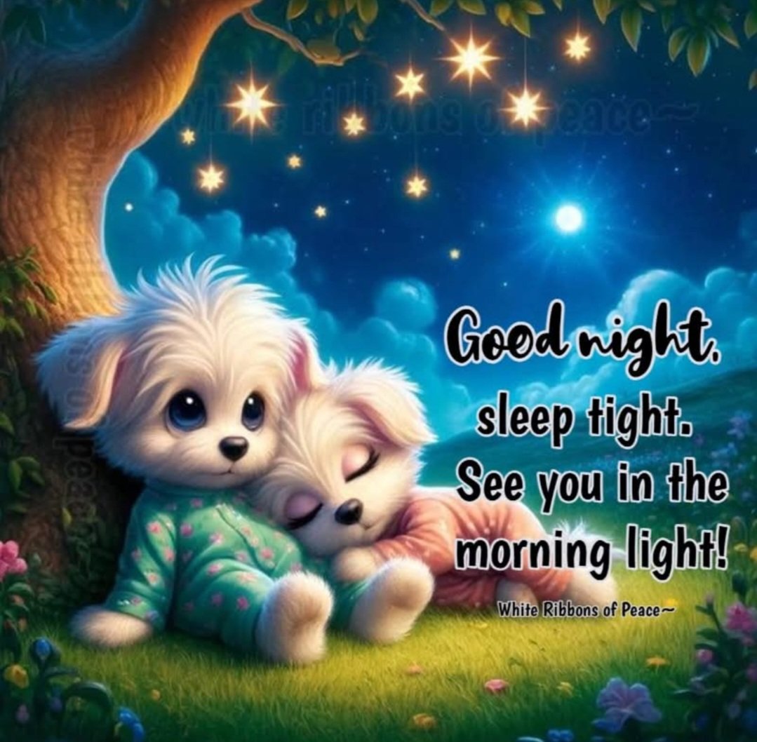 craftyclaude's tweet image. Goodnight to all my friends on X. I had so much fun w everyone tonight. Thank you. I'm a bit behind, of course. π
π
I'll catch up tmrw. π€π I hope you are all safe and warm tonight. Sleep well and sweet dreams. Until tomorrow. πβ€οΈβ¨οΈπΈ #EqualViewingForAll #TheInfamousUnseen