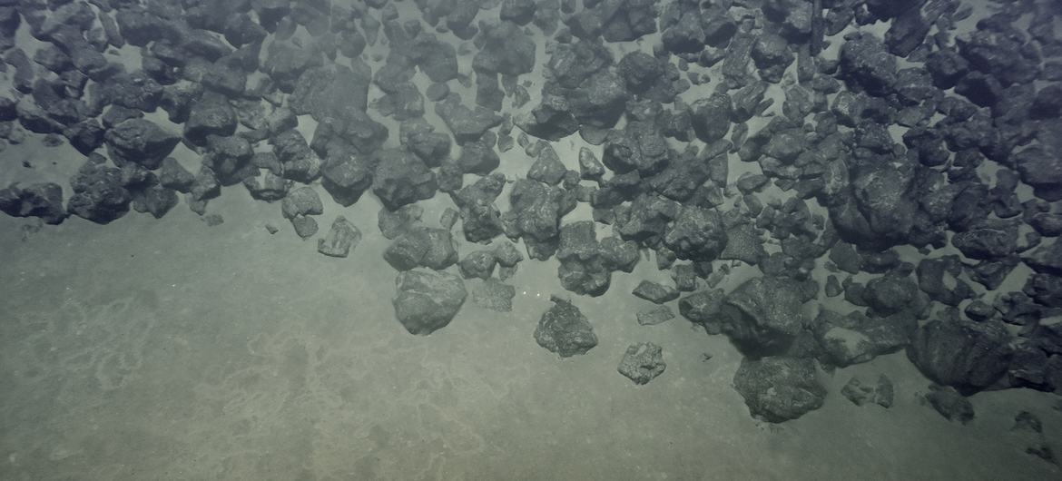 🌊 Celebrating 30 years of the International Seabed Authority!

From rare minerals to rich biodiversity, the deep sea is a treasure trove that demands wise, science-based care.
Let’s protect what lies beneath.

news.un.org/en/story/2025/…

 #POPMovement #OceanProtection #YouthForSDGs