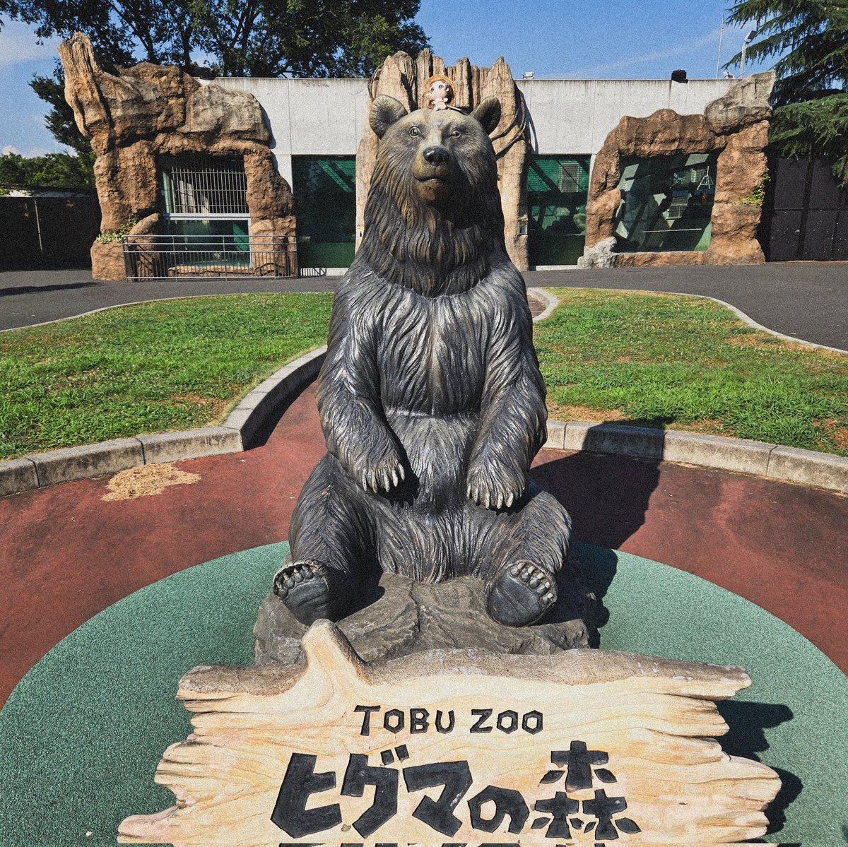 _gyocar's tweet image. 