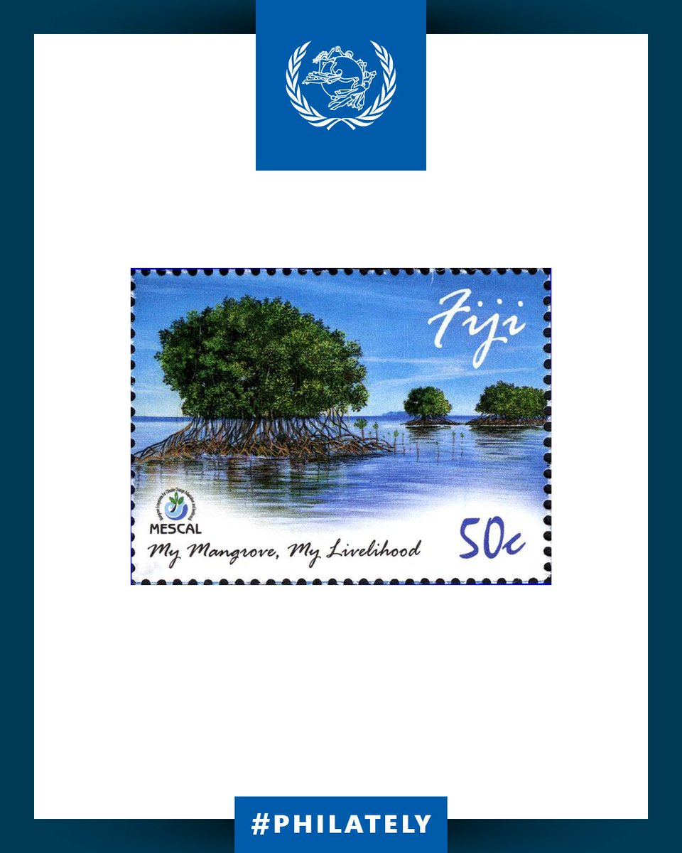 🌎 International Day for the Conservation of the Mangrove Ecosystem, observed on 26 July, highlights the vital role mangroves play in protecting coastlines, supporting biodiversity, and sustaining local communities.

#stamp from #Fiji issued in 2013
#philately