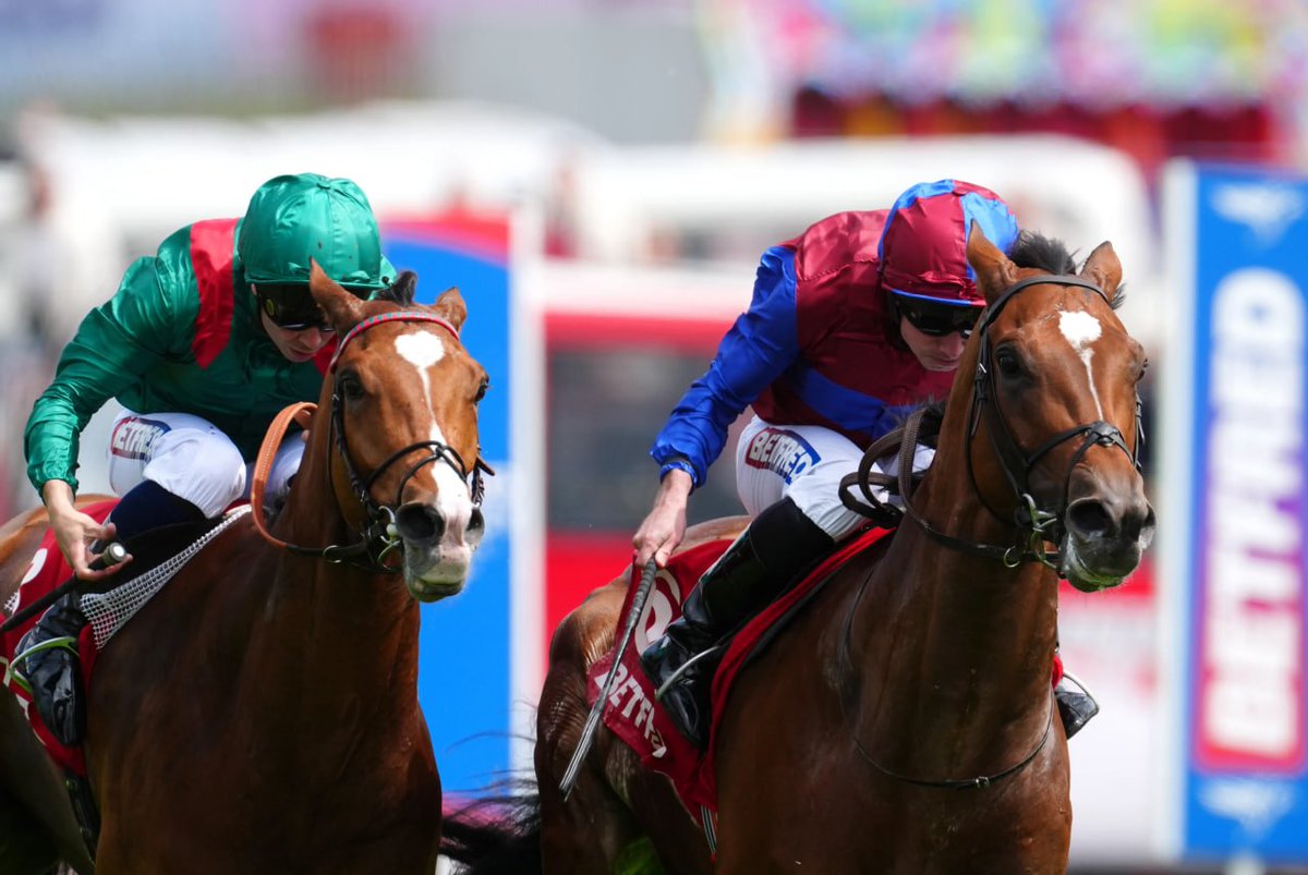 formlineai's tweet image. 🚨 Saturday's tips will be sent out at 9:00 a.m. in the premium group.
Our free tips delivered £390.50 from just £10 stakes in 10 days!
ITV Racing today from Ascot and York, then a huge week at Goodwood and Galway.
We are offering the first 25 people from this group that sign…