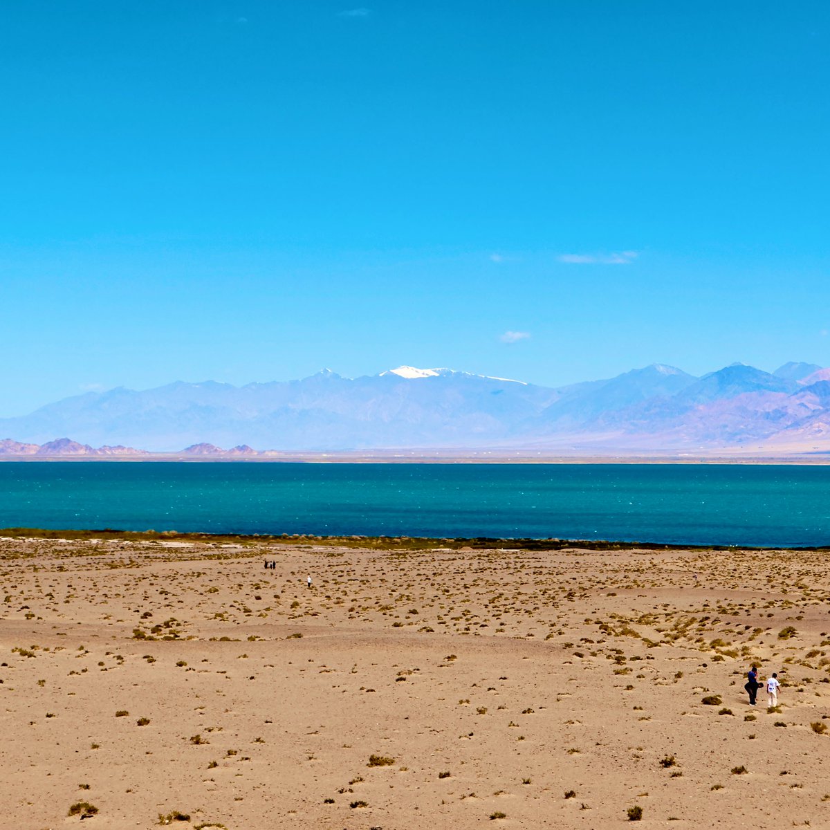 M&S tweet media