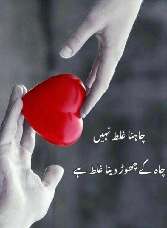 اگر مضبوط رہنا چاہتے ہیں تو کسی بات کو اپنی توہین نہ سمجھیں، بلکہ بولنے والے کی کم ظرفی سمجھ کر آگے بڑھ جائیں

Happy