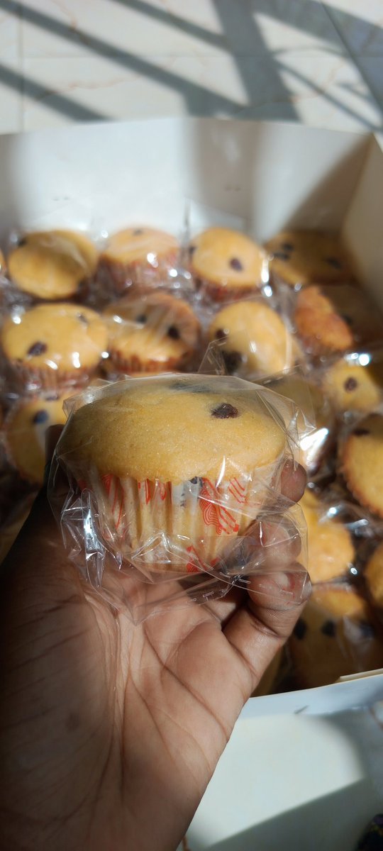 Today's menu

Cupcakes
 12pcs 🏷️4800
24pcs 🏷️9600

📍Kano
DM to order