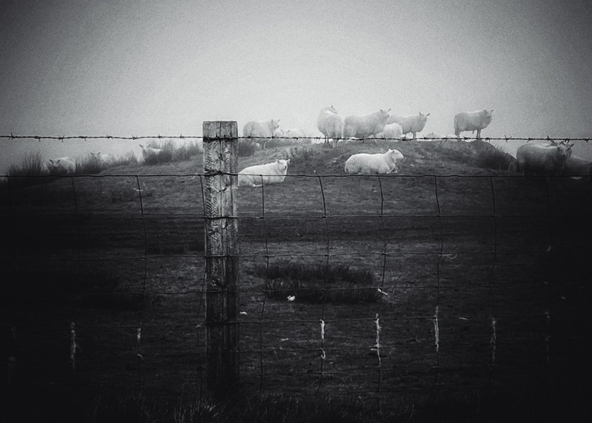 olbil's tweet image. Tenebrae
@Gallery365photo
#Gallery365in2025DailyPrompt
#Gallery365in2025JulyBrandt
#photography