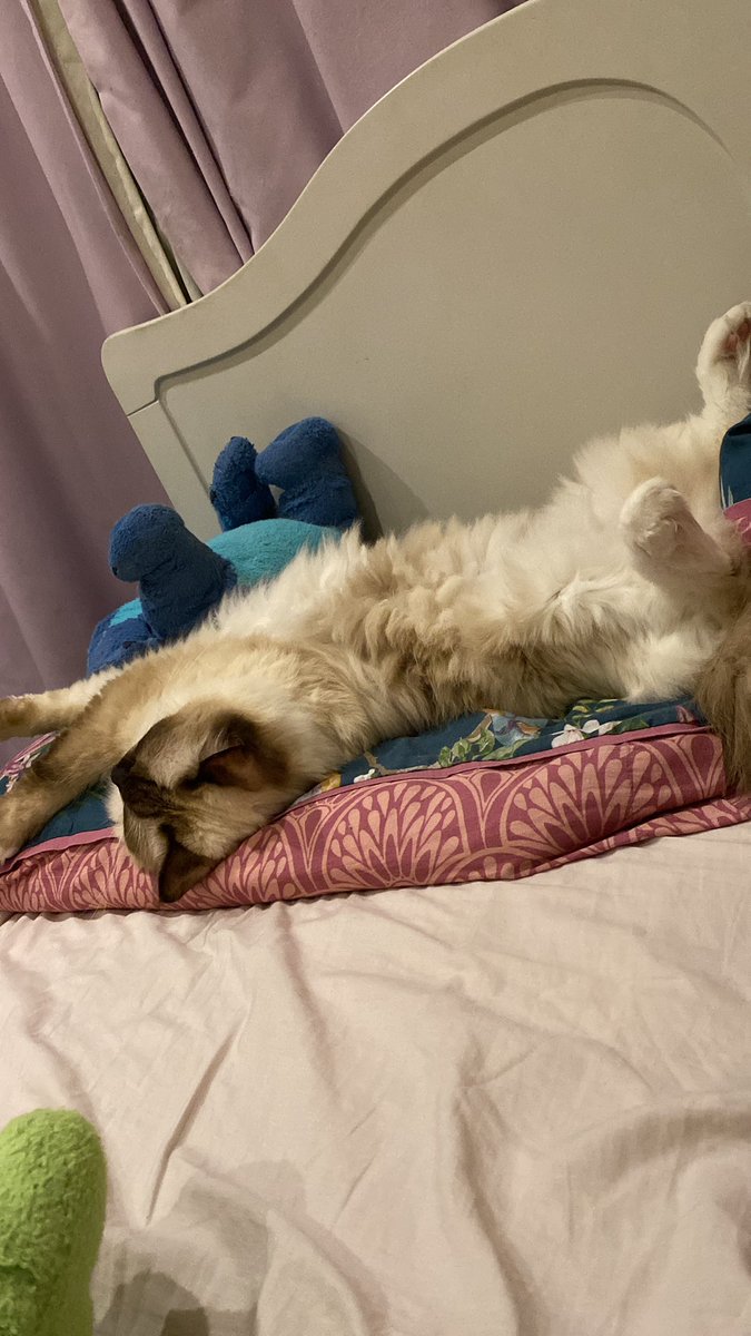 mintiliciouss's tweet image. average sized stretch