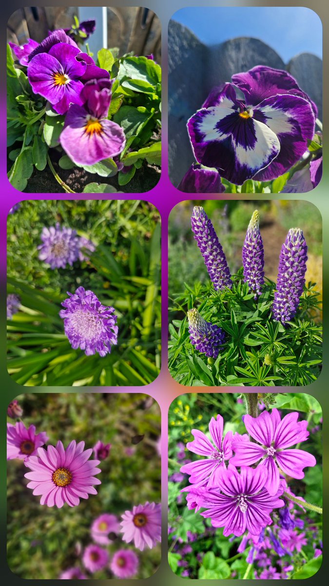 BrigidWalsh10's tweet image. Life is better on sunny days
#SixonSaturday
#SaturdayVibes
#weekendsunshine
#Grateful #NatureBeauty
