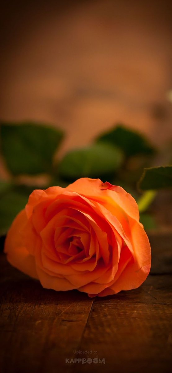 <a href="/shokata25589395/">shokat ali</a> <a href="/Hashmisrar/">Israr Hashmi</a> <a href="/SFarheen9/">S Farheen</a> <a href="/sabina78621/">𝕏𝕊𝕒𝕓𝕚𝕟𝕒𝔸𝕟𝕛𝕦𝕞 𝕏</a> <a href="/1492Adil2/">आदिल इक़बाल</a> <a href="/SaddamaliS67829/">Sayyed Saddam Ali</a> <a href="/Rash160896/">❣️❤️‍🩹راشد جمال الداحلاني❤️‍🩹❣️</a> <a href="/TausifHashmi26/">Tausif Hashmi</a> <a href="/pagli__dewanii/">GULNAZ TANOLI</a> @__Sh_azadi_ <a href="/_hinataj3/">Hina Taj❣️</a> <a href="/AbdulHa43730508/">वक़्त की अवाज़ 🔊 (وقت کی آواز)</a> <a href="/AbdulSalamOrg/">𝔸𝕓𝕕𝕦𝕝 𝕊𝕒𝕝𝕒𝕞 ™️</a> <a href="/Affu7667/">👑🦋آفرین ❤️ ترنم🦋👑</a> <a href="/Amanstatio66669/">Abdul khalik (Aman )</a> <a href="/awaisaraza/">Awais Saira</a> <a href="/arun_donde/">Arun Donde</a> <a href="/ArshiQu3311/">Hayat Khan</a> Jajakallah khair ❤️