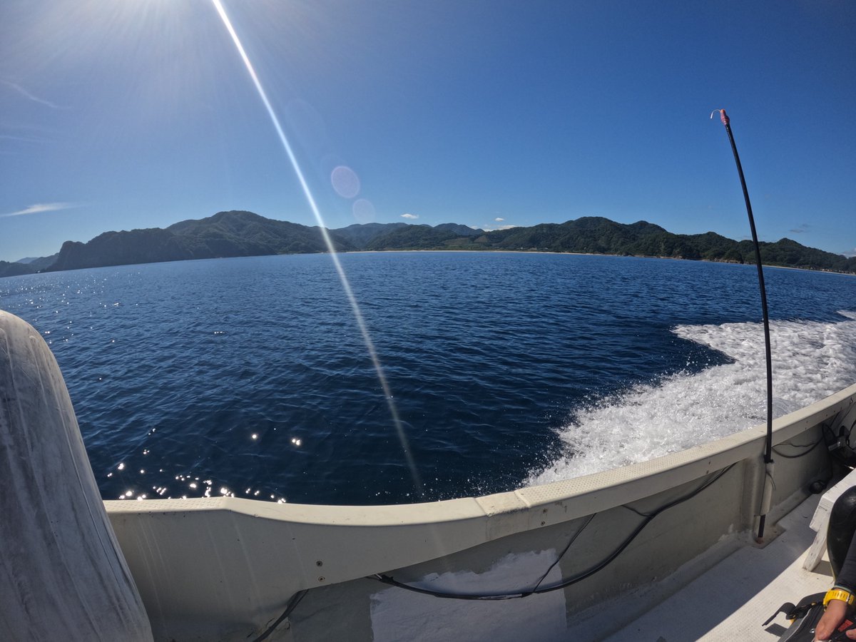 umizono's tweet image. 海中快適指数100の日が続いてます。
今日はファン2ボート!
①漁礁 水温23.8度(水深25m)透視度15~20m
②高瀬 水温25.8度(水深18m)透視度15m
少し透視度が落ちましたが、明日にはよくなると思います・・・根拠はありません・・・ただの希望です!#鳥取県 #岩美町 #羽尾 #ダイビング