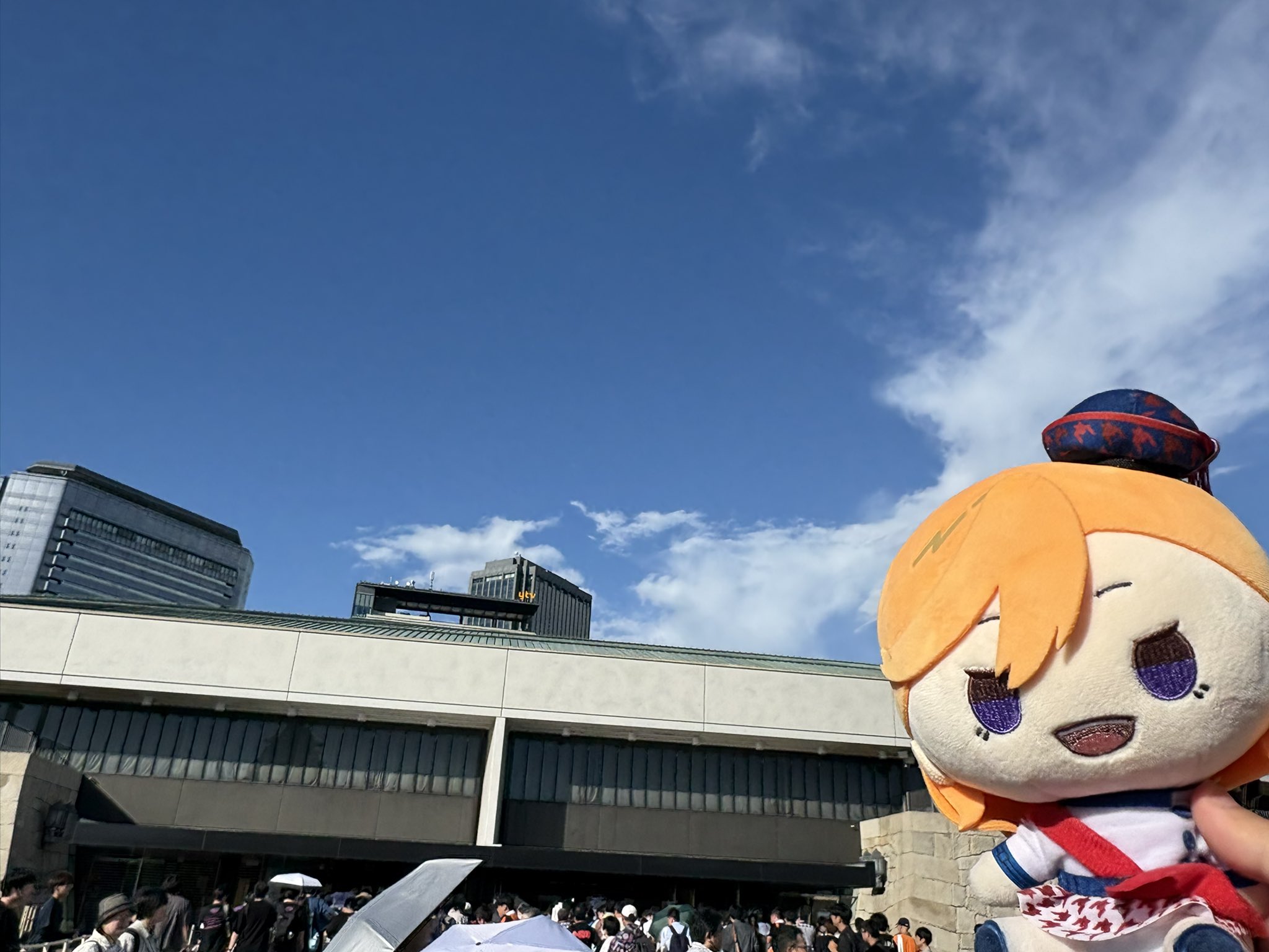 どんぐりアート♪ かなヾ(@^▽^@)ノです♡ Amazon.co.jp: どんぐりアート N o5 ニスなし自然のかたち
