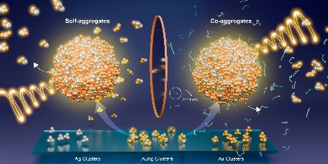 jatishkumar1's tweet image. Happy to share our recent work published in Angew. Chem. Int. Ed. Here we illustrate the tuning and enhancement of chirality in optically active bimetallic clusters leading to highest dissymmetry values in this class of materials. @angew_chem onlinelibrary.wiley.com/doi/full/10.10…