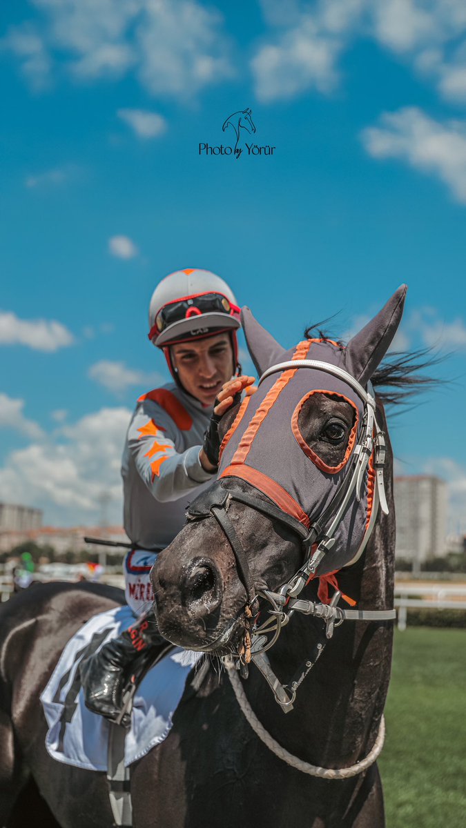 🐴  Asmar Dubai
🏇  Muhammed Mir Bilgin
📅  29.06.2025
📌  Veliefendi Hipodromu