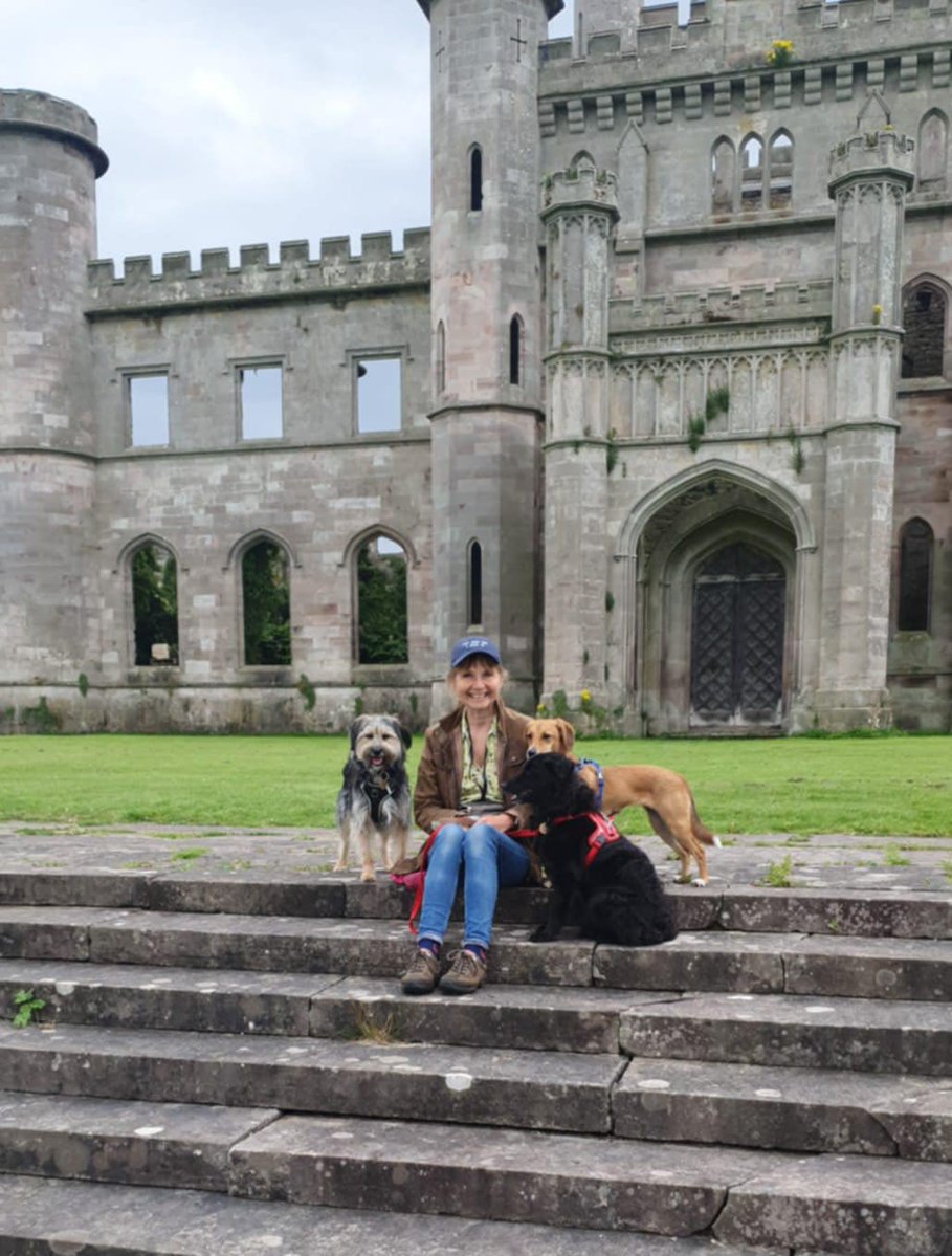 GillyMeeky's tweet image. Can you believe Ivy and her sisters are on holiday again. They are touring the north this time.
Lowther, cartmel races and hay bales in fields. Ivy's adopter says they are all so good: staying in different places, walking over different walks and visits, joining us in cafes.…