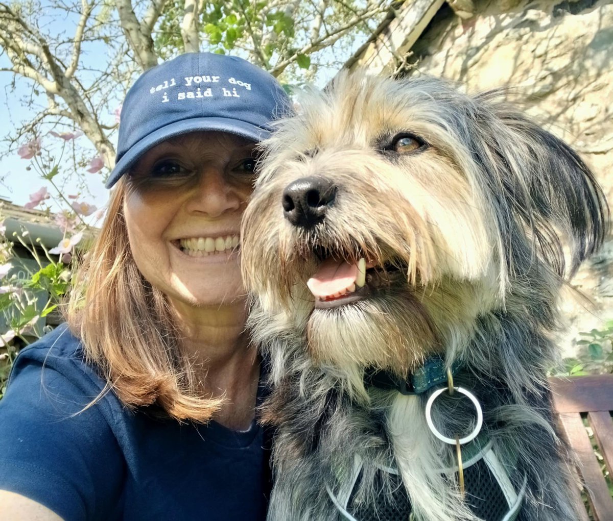GillyMeeky's tweet image. Can you believe Ivy and her sisters are on holiday again. They are touring the north this time.
Lowther, cartmel races and hay bales in fields. Ivy's adopter says they are all so good: staying in different places, walking over different walks and visits, joining us in cafes.…