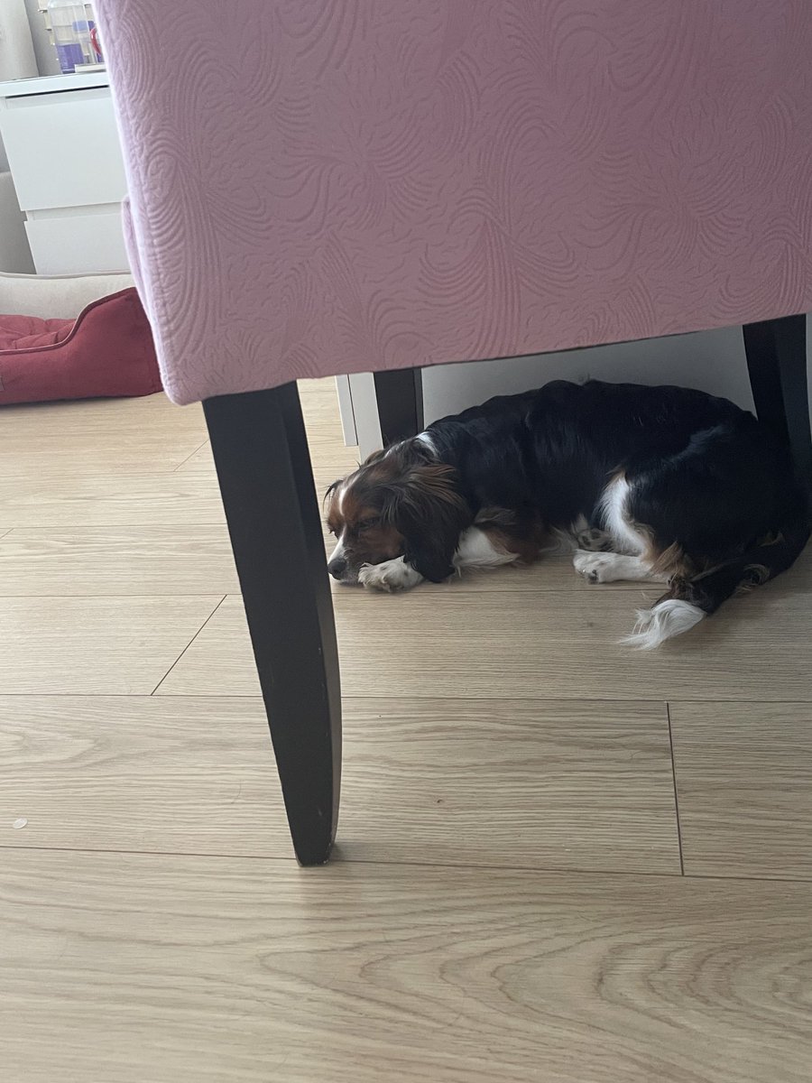 AtakkGull's tweet image. Çok sıcak çok… nerelere kaçam…