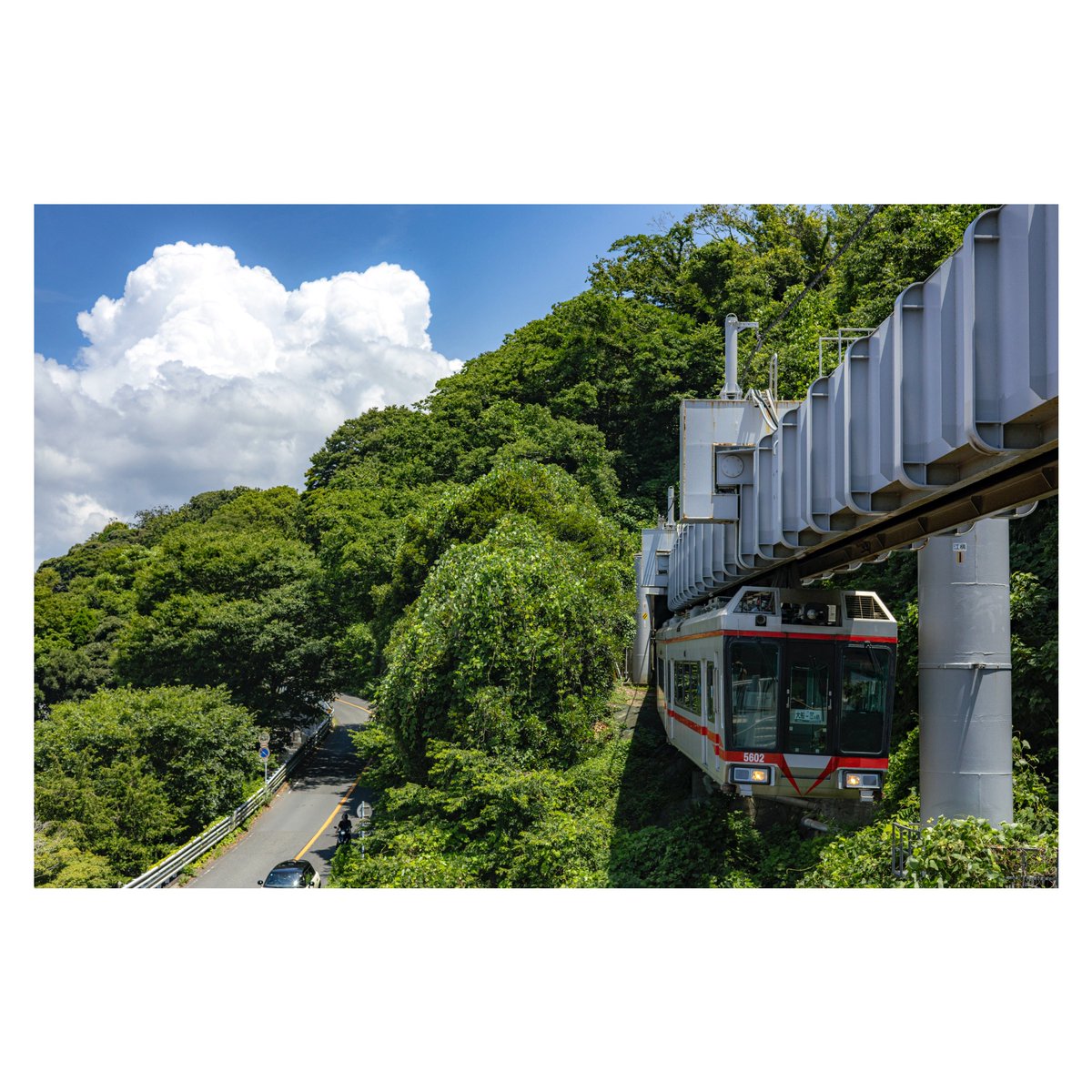 Tikuwa_Camera's tweet image. 盛夏