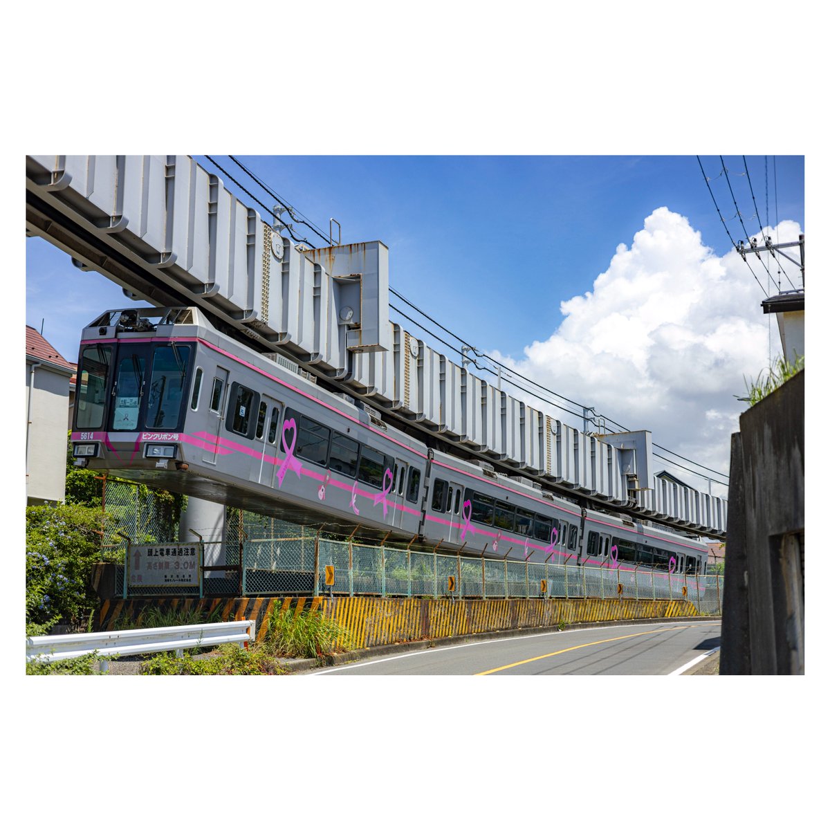 Tikuwa_Camera's tweet image. 盛夏