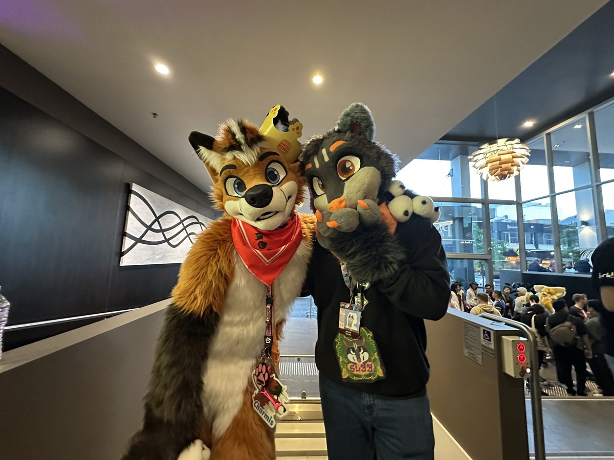 Slyy_racc's tweet image. Yooo wide charmis and twink slyy finally together
🦊: @Charmis_fox
📸: @ReverieAWD
