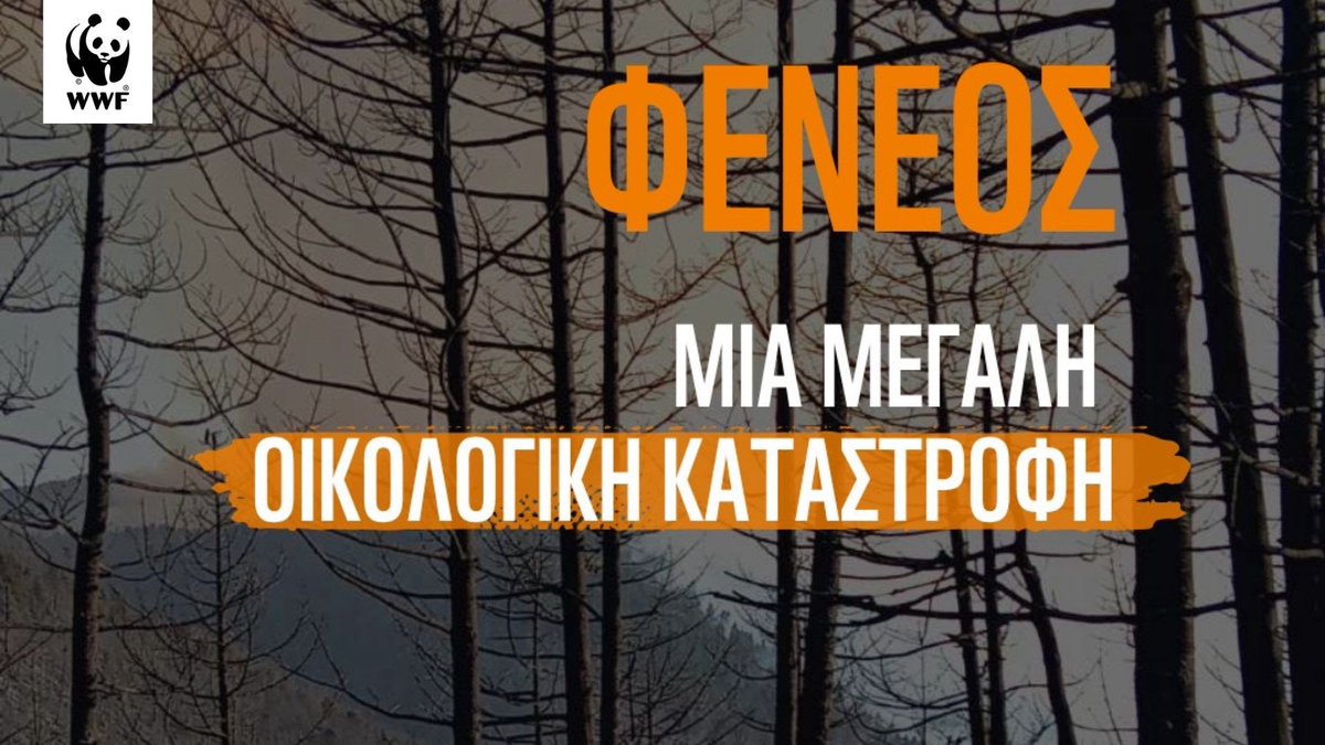 vjf_j's tweet image. Η φύση μόλις έχασε ένα μοναδικό ελατοδάσος.
#φωτια #φενεος #πυρκαγια