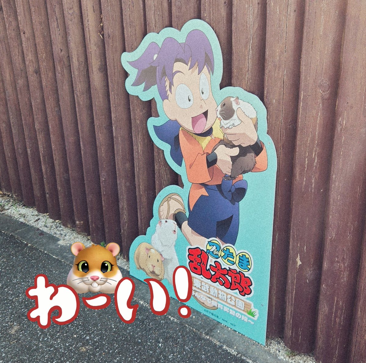 _gyocar's tweet image. 