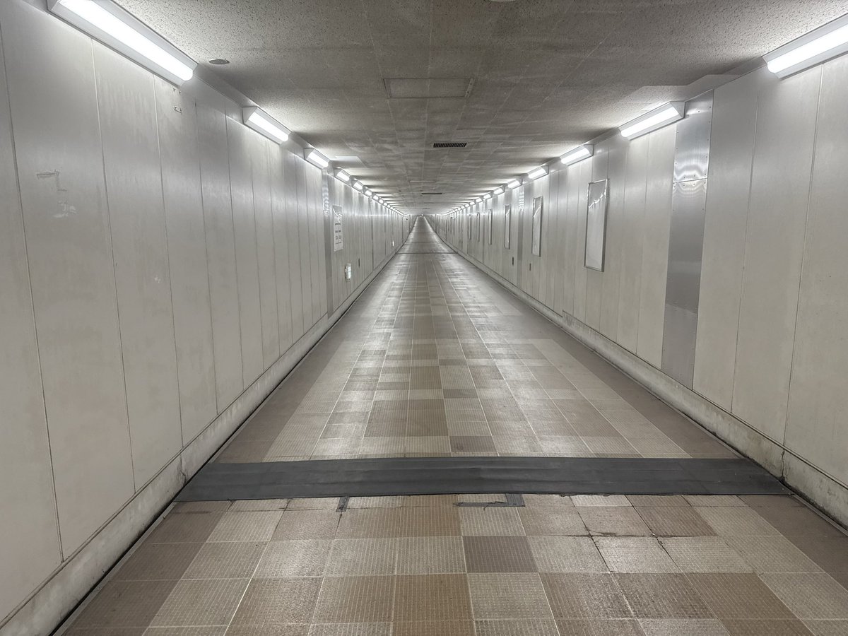 imkazuookid's tweet photo. After long last I found the promised land… (the Higashi-Narita airport train station and a long hallway) @jltgonmyphone @thewheatgerm @adamhchase @wendoverpro @WatchNebula #jltg #jetlagthegame
#jetleg #nebulatv https://t.co/27dIu1kMeL