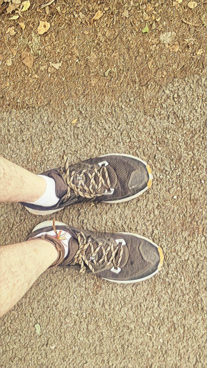 Matt McGuinness and the MLC (@mcguinnessmlc) on Twitter photo These pumps were made for running, unlike the feet inside them.
#ShipleyCountryparkrun <a href="/parkrunUK/">parkrun UK</a> #ShipleyCountryPark These pumps were made for running, unlike the feet inside them.
#ShipleyCountryparkrun <a href="/parkrunUK/">parkrun UK</a> #ShipleyCountryPark
