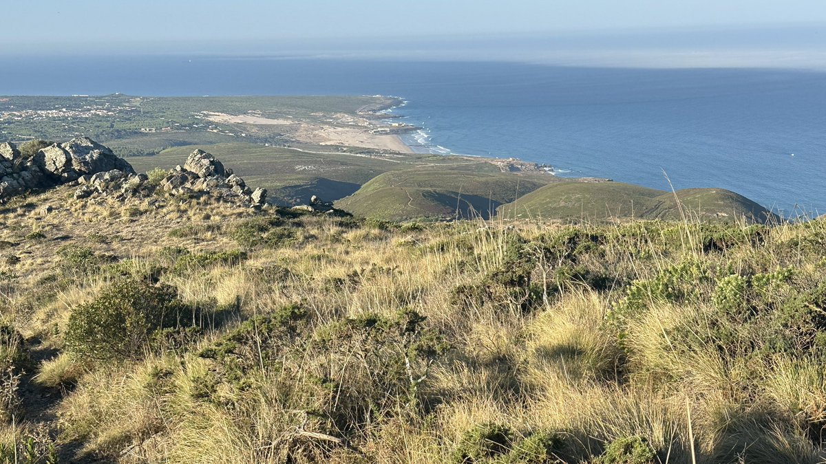 danicuki's tweet image. Biking up to Sintra today, I've met a man with his 19 year old daughter. He asked me about my work and suddenly we were talking for 20 minutes about @polkadot and crypto. This is when I realize I live in the right place. Love Portugal 🇵🇹