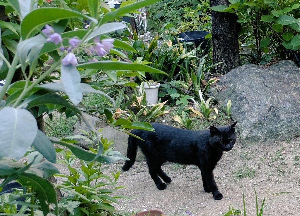 2610Am's tweet image. Yoga157日目
ヒーリング
目を閉じて意識を内側に向け　
外の世界と切離します　
ゆっくり呼吸して　新鮮な空気を体に取り入れました
