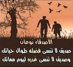 تجربة حقيقية