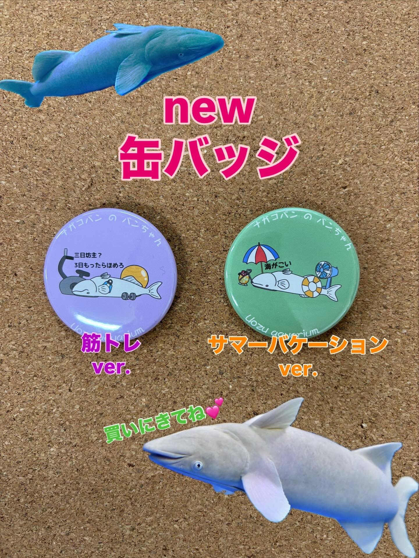 アオペラ 反郷粋 seaside 缶バッジ115個セット アオペラ 反郷粋