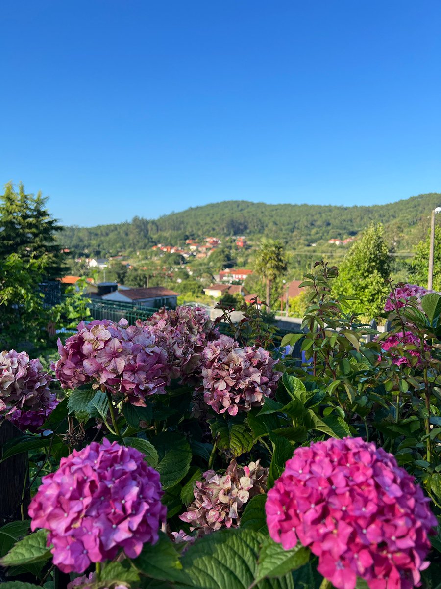 larotesmeyer's tweet image. Menuda maravilla es el interior de Galicia, pueblos con un patrimonio espectacular, naturaleza en todo su esplendor, sin masificaciones, tapeando en bares locales, sin necesidad de reserva, tan solo disfrutando y admirando.