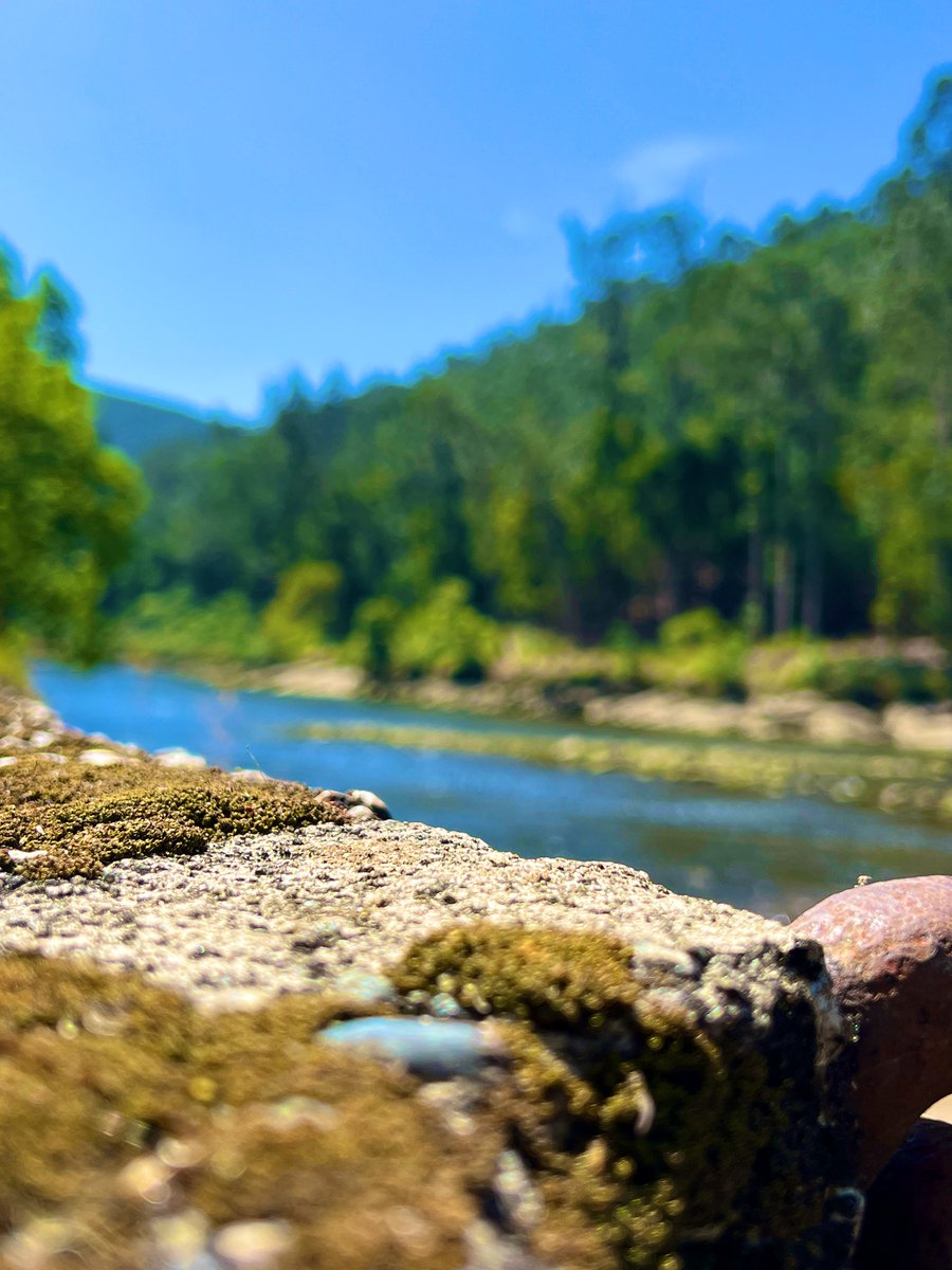 larotesmeyer's tweet image. Menuda maravilla es el interior de Galicia, pueblos con un patrimonio espectacular, naturaleza en todo su esplendor, sin masificaciones, tapeando en bares locales, sin necesidad de reserva, tan solo disfrutando y admirando.