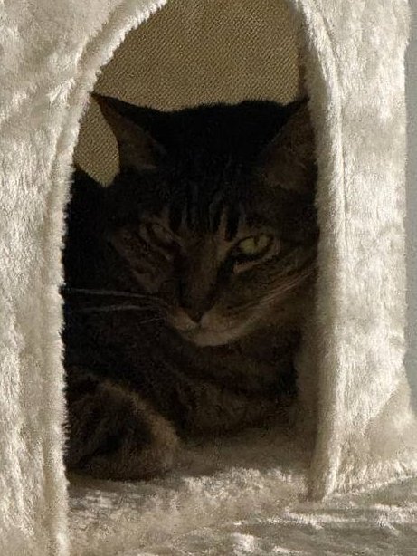 小男娘拍照时，猫咪视角 Be Like~😼

PS : 被Xian流了一个多礼拜还没解除，打算静默一段时间，不过请放心，我Xian流结束马上就会回来的！