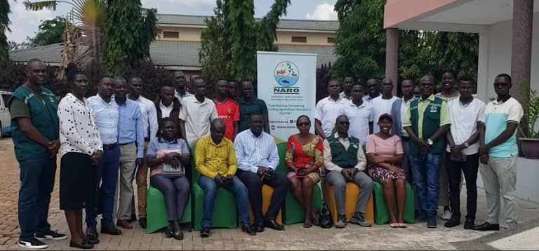 977unityfm's tweet image. The National Agricultural Research Organisation (NARO) has launched a groundbreaking nationwide training initiative to equip journalists with the skills and knowledge needed to accurately report on agricultural research.
The program, which began in Lira City this week, aims to…