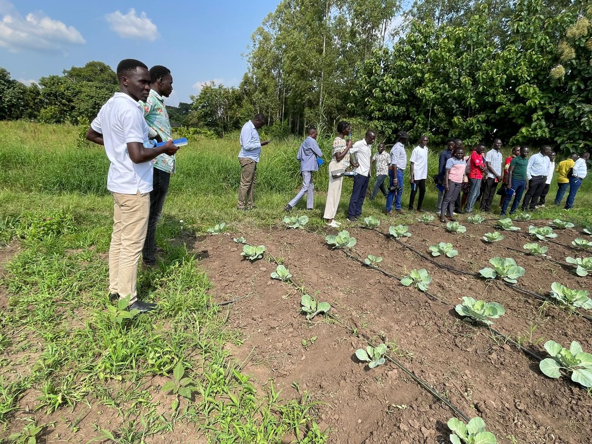 977unityfm's tweet image. The National Agricultural Research Organisation (NARO) has launched a groundbreaking nationwide training initiative to equip journalists with the skills and knowledge needed to accurately report on agricultural research.
The program, which began in Lira City this week, aims to…