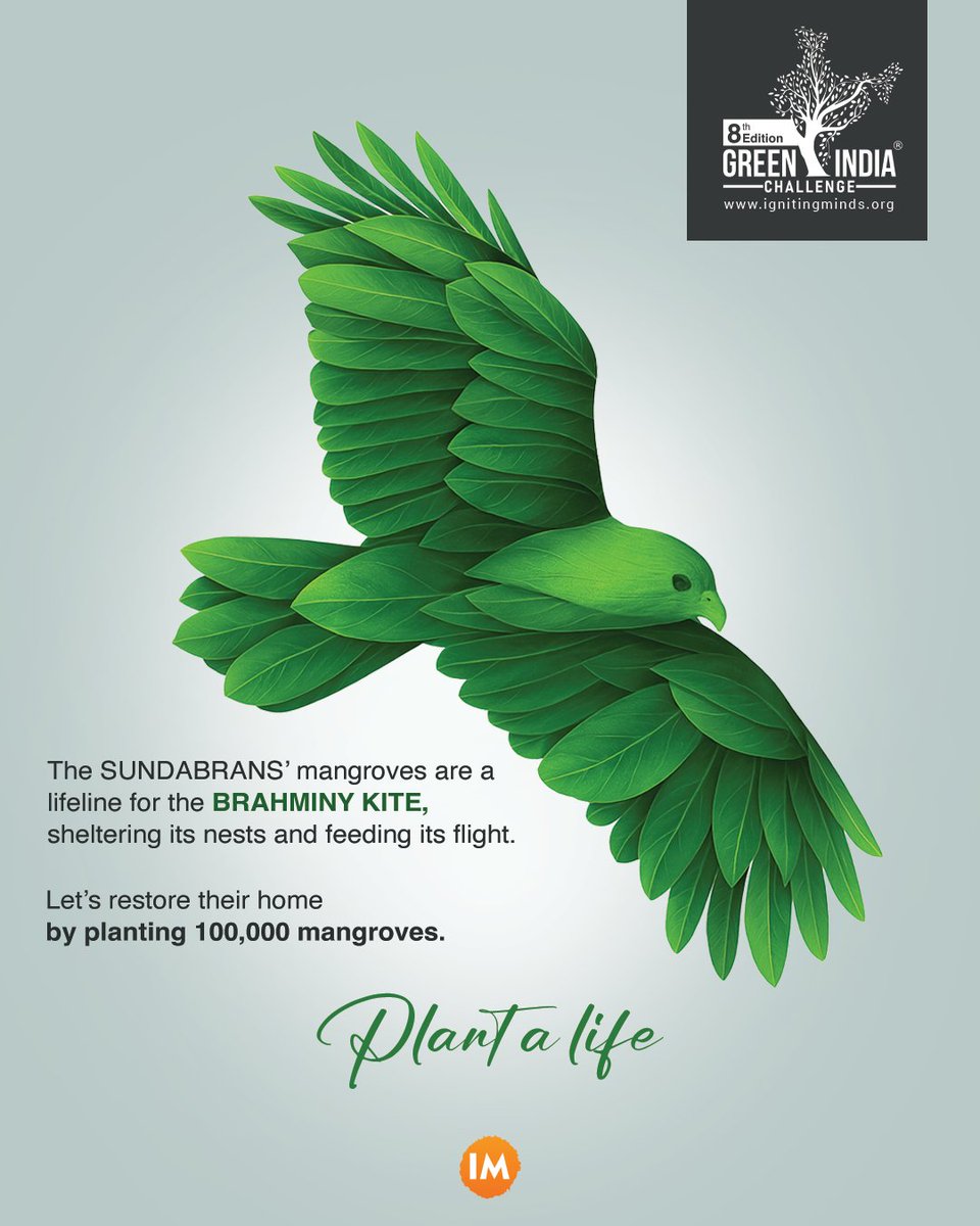 🌱 Plant a Life, Protect a Flight 🦅

The Sundarbans’ mangroves are more than just trees - they’re the cradle of life for the Brahminy Kite, nurturing its nest and its wings.

Let’s give back to nature by planting 100,000 mangroves and restoring their vital home. 🌳💚

👉 Take