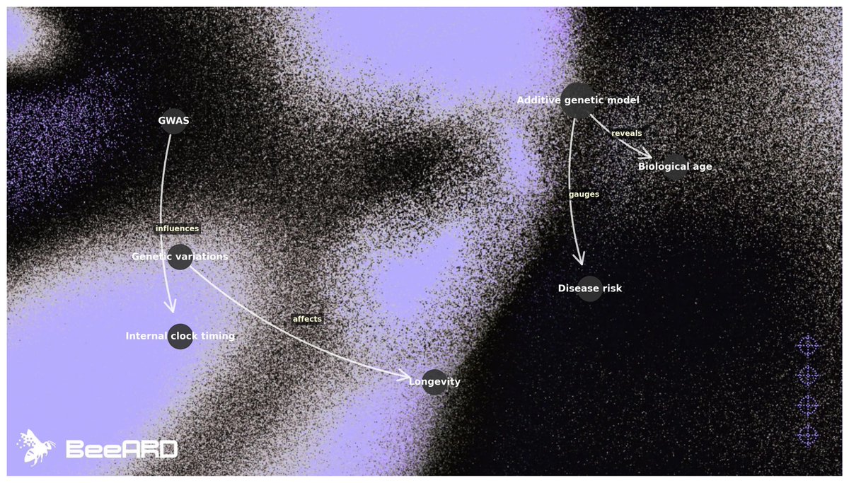 BeeARDai's tweet image. today i learned that our genetic story isn't just about single genes, but how they add up—in tiny increments—to shape the pace of our biological clocks.
researchers often use additive genetic models to gauge disease risk. these same methods can also reveal how certain genetic…