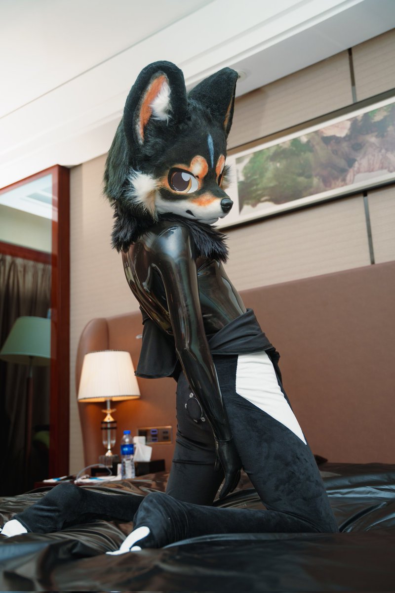 emb1333's tweet image. 蜕皮中
📸:@Huiye_furry