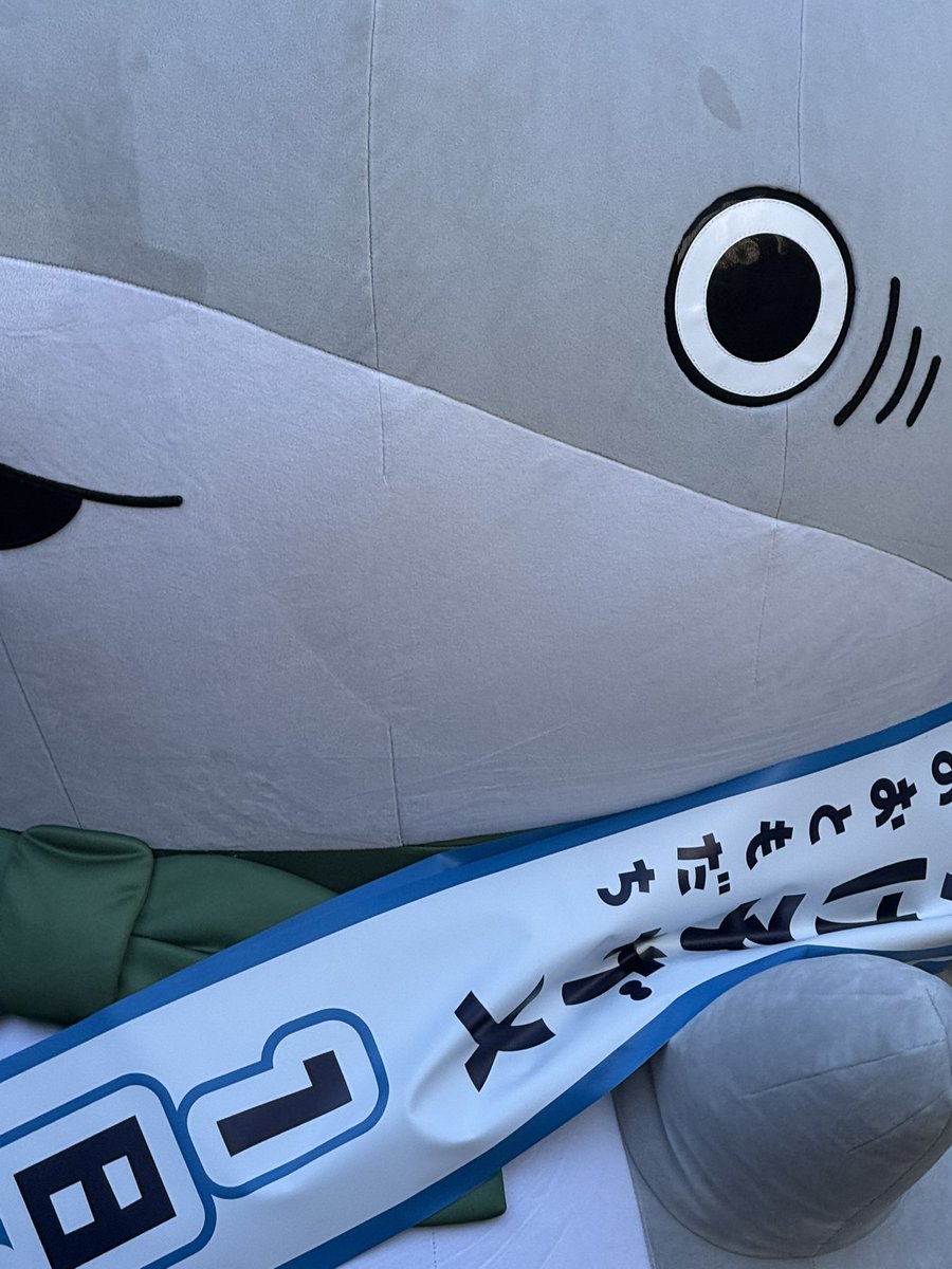 nekokijitora's tweet image. 