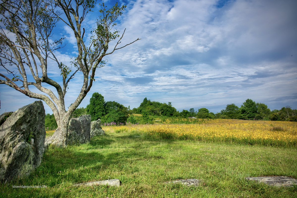 blueridgem_m's tweet image. Ridge Life